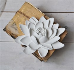 Цветок №2 2680