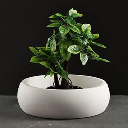 Фигурное кашпо "Бонсайница" 10294