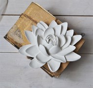 Цветок №2 2680