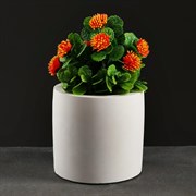 Фигурное кашпо 