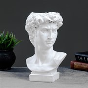 Кашпо Давид 18630