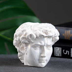 Кашпо - органайзер